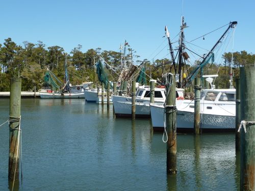 fish dock wharf