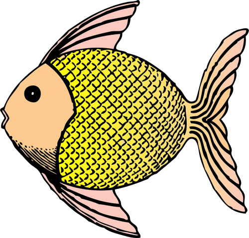 fish cute scales
