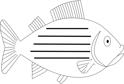 fish aquatic fin