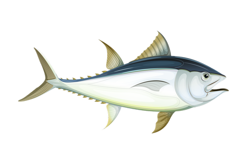 fish  sea  tuna