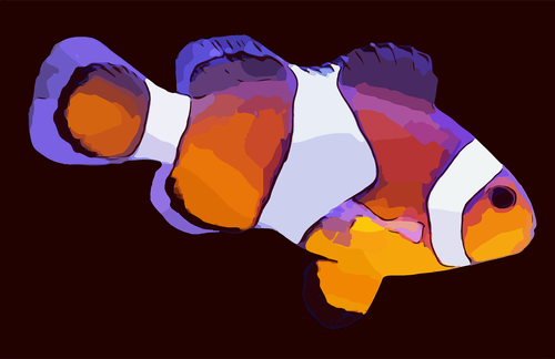 fish  clown fish  nemo