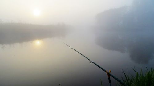fish fishing rod river