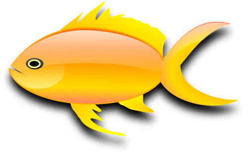 fish goldfish digital