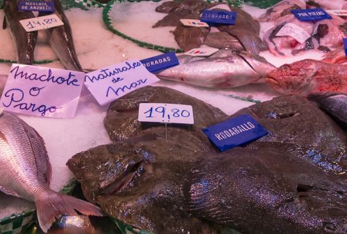 fish buy fish shop