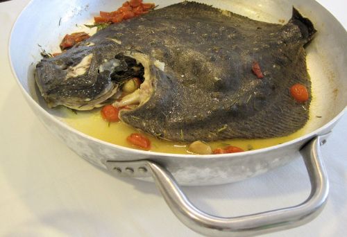 fish seafood rombo