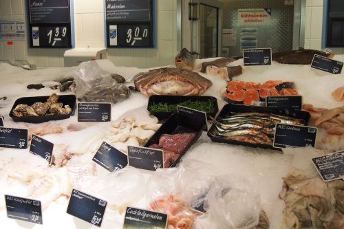 fish fish counter supermarket