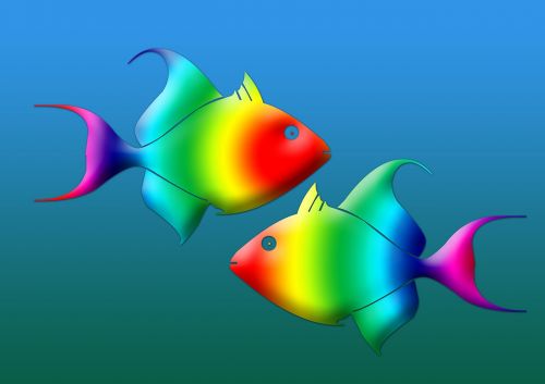 fish design animals