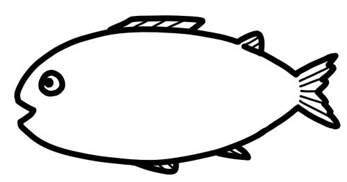 Fish Illustration