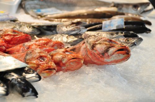 fish market fish frisch