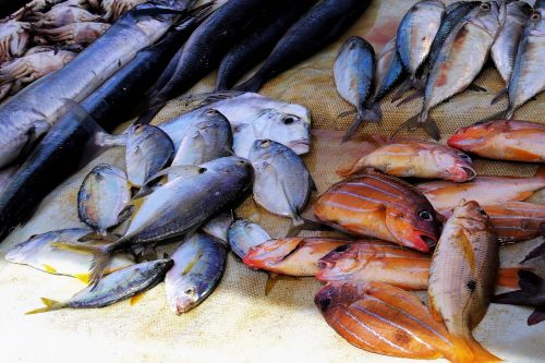 fish market bazaar seafood