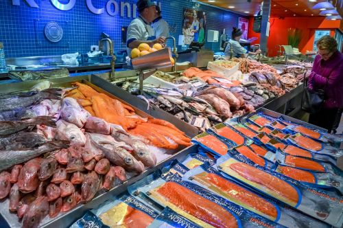 fish market fish market