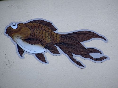 Fish On A Building