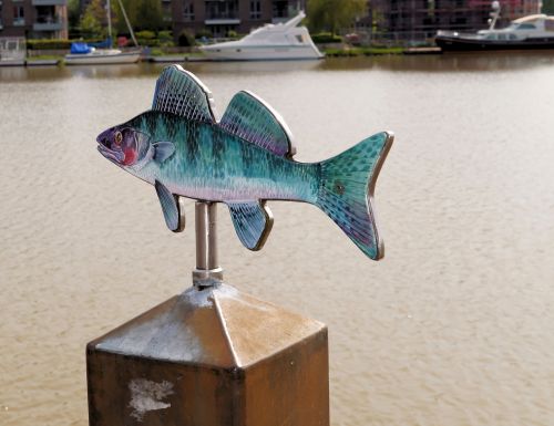 fish sculpture fish art