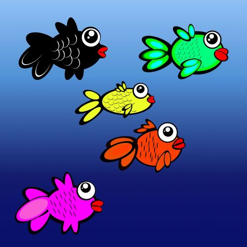 fish tank aquarium fish