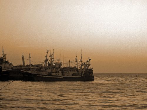 Fish Trawlers At Anchor In Sepia
