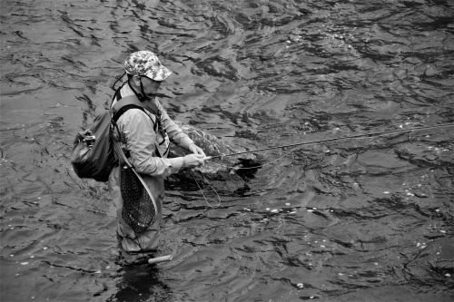 fisherman fly fishing river