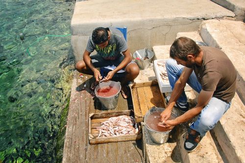 fishermen fish seafood