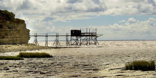 fishery plaice ocean