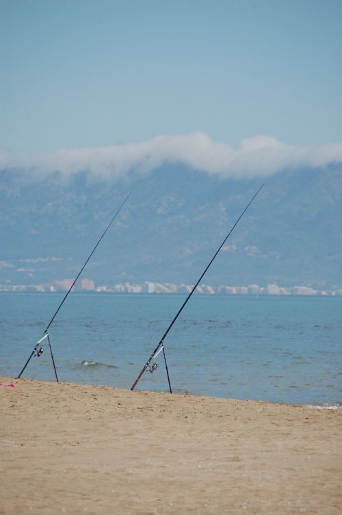 fishing sea calm