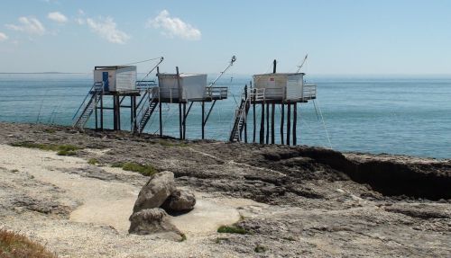 fishing estuary coastline