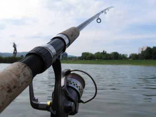 fishing rod water