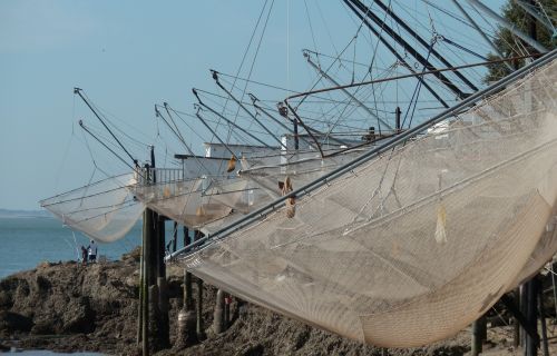 fishing plaice netting