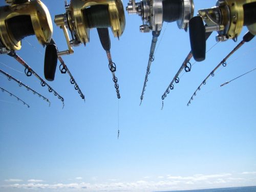 fishing deep sea fishing rods