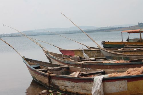 fishing lake victoria