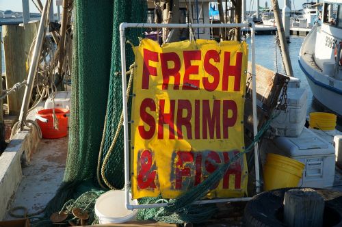 fishing shrimp sign