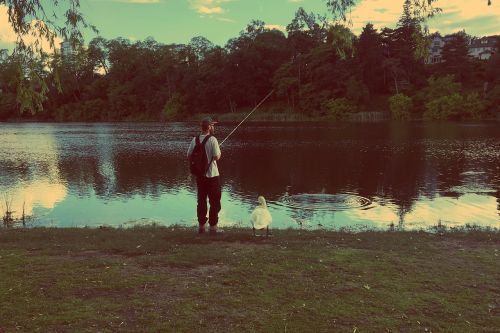 fishing nature lake