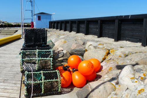 fishing lobster boxes fischer