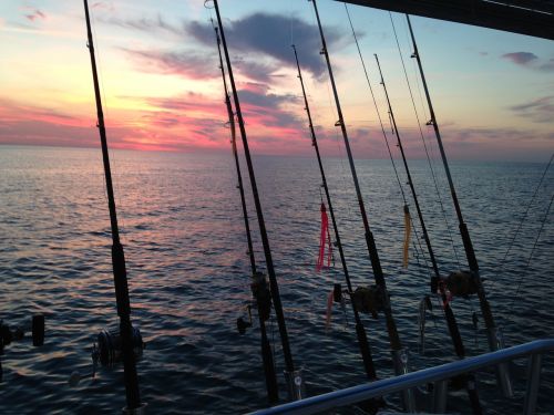 fishing ocean sunset