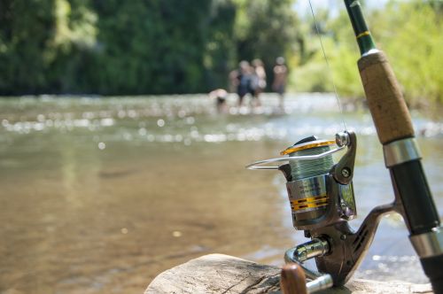 fishing a fishing rod cane