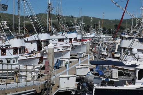 fishing  boats  marine