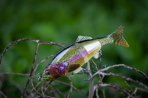 fishing  fishing lure  fish lure