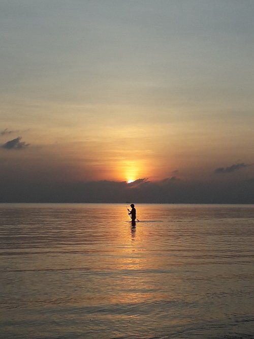 fishing  sunset sea  nature