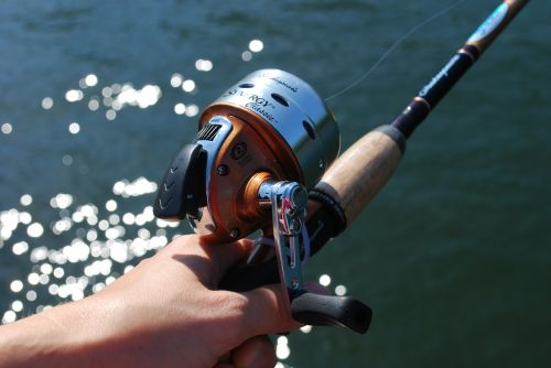 fishing fishing rod lake
