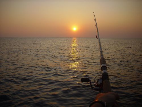 fishing fishing rod sunset