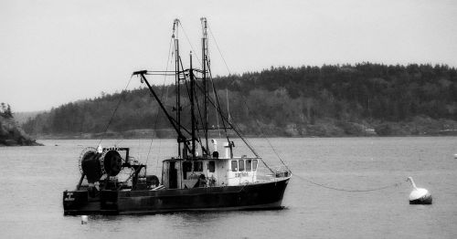 fishing trawler boat