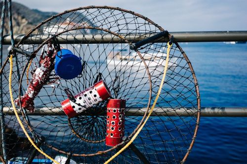 fishing net catch