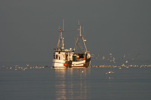 fishing boat baltic sea sea