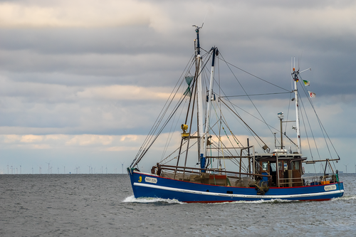 fishing boat  cuxhaven  sea