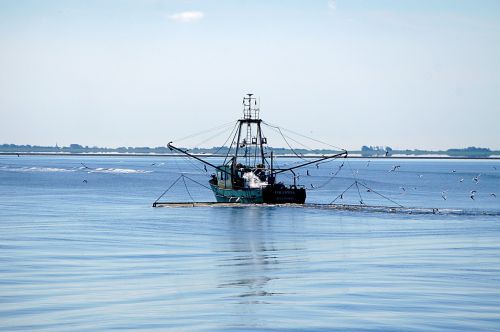 fishing boat elbe water