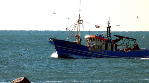 fishing boat algarve gulls