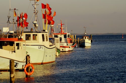 fishing boats  sea  port