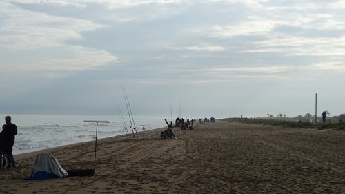 fishing contest  beach