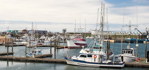 fishing fleet in port  fishing  port