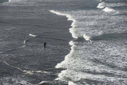 Fishing In The Surf