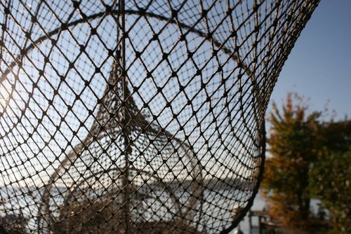 fishing net  web  fishing