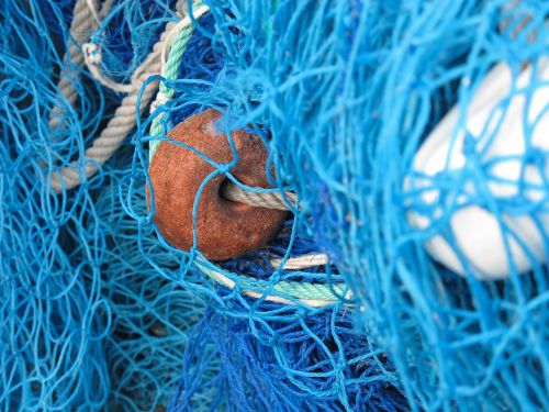 fishing net network fishing